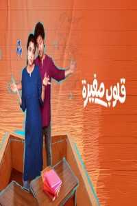 مشاهد فيلم Little Hearts 2025 مترجم