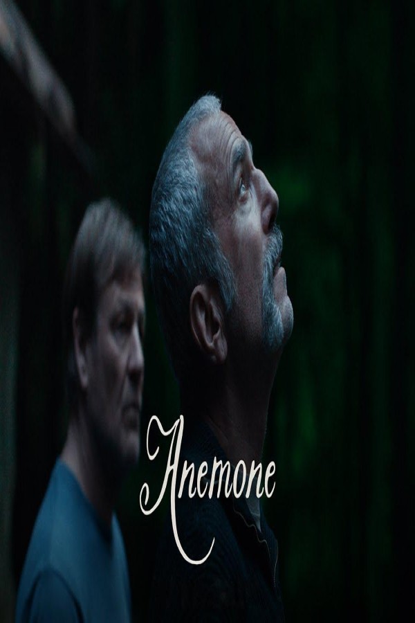 مشاهد فيلم Anemone 2025 مترجم
