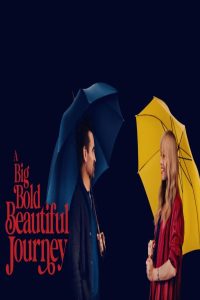 مشاهد فيلم A Big Bold Beautiful Journey 2025 مترجم