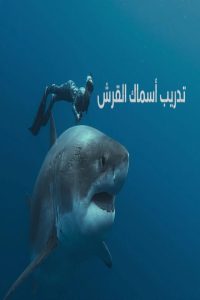 مشاهد فيلم Shark Whisperer 2025 مترجم