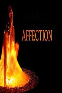 مشاهد فيلم Affection 2025 مترجم