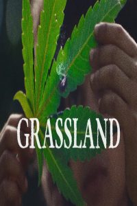 مشاهد فيلم Grassland 2024 مترجم